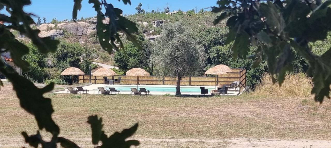 Quinta Da Adarnela Apartment Lagares da Beira ภายนอก รูปภาพ